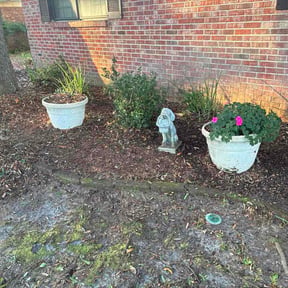Flower Bed Weeding by GreenEdge Lawn Care reviewed on May 21, 2026