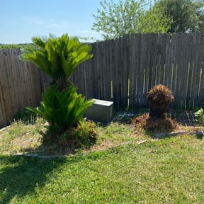 Bush Trimming by Clean cuts reviewed on August 18, 2025