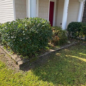 Bush Trimming by 20-20 Lawn Care reviewed on October 19, 2025