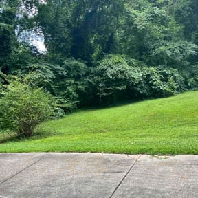 landscape maintenance by Born Again Enterprises LLC reviewed on August 17, 2025