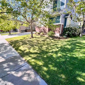turf care by R&L Lawn care reviewed on May 9, 2025