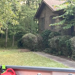 Bush Trimming by DT&amp;K LawnCare reviewed on October 18, 2025