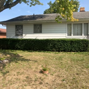 Bush Trimming by HZcontracting reviewed on August 18, 2025