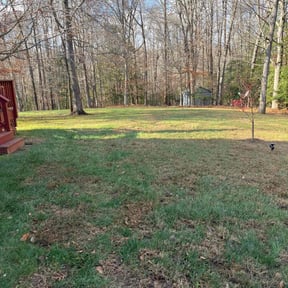 Leaf Removal by A Strong Lawn Care reviewed on November 27, 2025