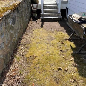 Leaf Removal by Jones lawncare reviewed on August 20, 2025