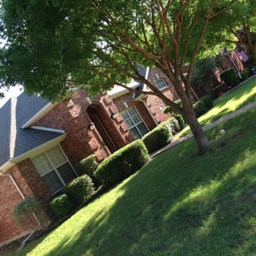 Bush Trimming by WESTWOOD LAWN CARE reviewed on August 16, 2025