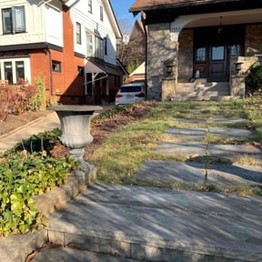 Leaf Removal by E-maculate Lawn  Care LLC reviewed on September 16, 2025