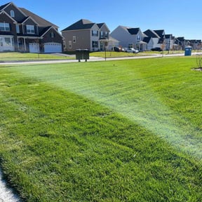 yard maintenance by Sifu Lawn and Services reviewed on August 18, 2025
