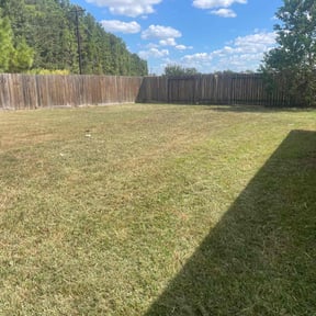 lawn care services by Lawn Gnomes LLC reviewed on July 4, 2022