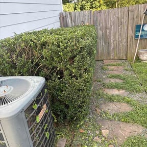 Bush Trimming by JF Lawn Care LLC reviewed on August 25, 2026