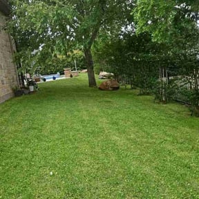 grass maintenance by Caliber Lawn and Garden reviewed on November 9, 2017