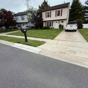 yard work by Helping Hands reviewed on January 7, 2026