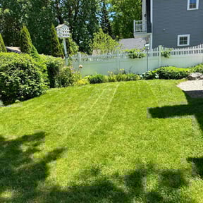 landscaping by Poor Boy Grounds Management reviewed on August 17, 2025