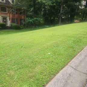 landscape maintenance by Tsafaridis Landscaping Construction reviewed on August 19, 2025