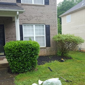 Bush Trimming by Fourteen23 Lawn Care reviewed on August 17, 2025