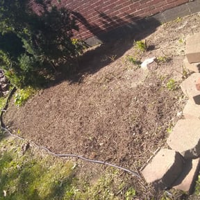Flower Bed Weeding by Nature's Beauty Landscaping reviewed on August 20, 2025