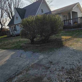 Bush Trimming by Lawrence Lawn Care reviewed on March 22, 2026