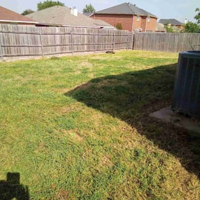 Bush Trimming by G&C lawn care reviewed on August 19, 2025