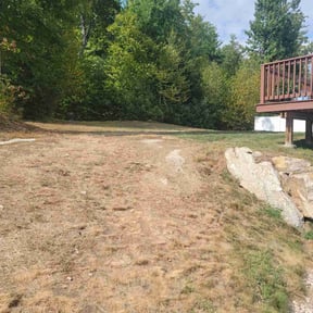 Mulching by Grass gang reviewed on June 13, 2025