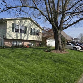 grass maintenance by Under the Sun Property Services reviewed on July 22, 2025