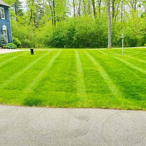 yard service by Landscape reviewed on March 29, 2024