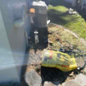 Bush Trimming by Gavin LLC reviewed on February 25, 2026