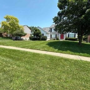 yard maintenance by Matmer Property Services reviewed on August 18, 2025