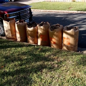 Leaf Removal by handy Jays reviewed on September 17, 2025