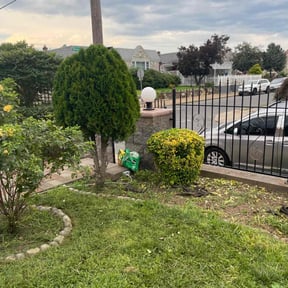 Bush Trimming by Solo 41 Contracting LLC reviewed on August 21, 2025