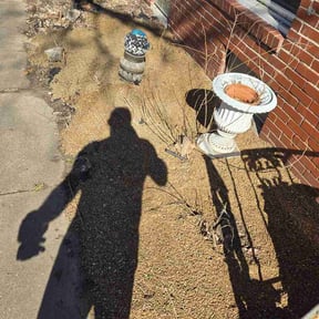 Mulching by Lopez Property Services Inc. reviewed on February 9, 2026