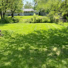 turf care by AffordableAcres reviewed on May 27, 2025