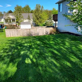 gardening service by Them Joneses reviewed on August 15, 2025