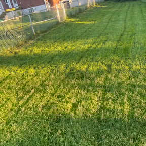 turf maintenance by Dlawncare reviewed on July 10, 2025