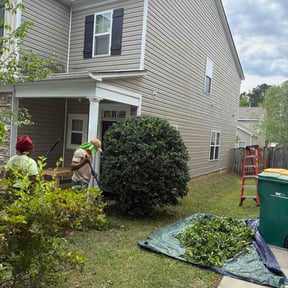 Bush Trimming by DLAWN SERVICE LLC reviewed on April 13, 2026