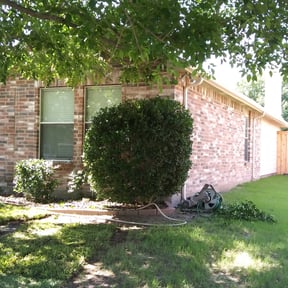 Bush Trimming by Unique Landscaping reviewed on August 15, 2025