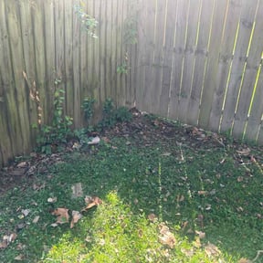 Flower Bed Weeding by C &amp; T Lawn Service  reviewed on November 19, 2025