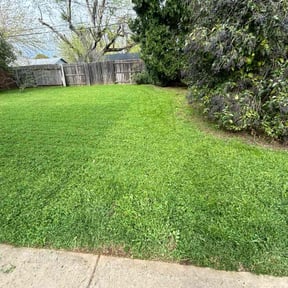 residential landscaping by MowDeal reviewed on August 19, 2025