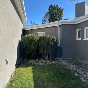 Bush Trimming by Croc Landscape Corp reviewed on October 22, 2025