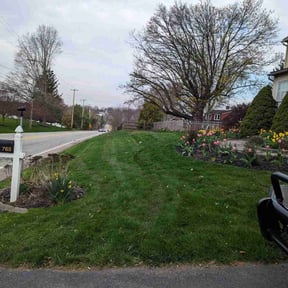 landscape maintenance by Lone Star Lawn & Lighting reviewed on August 17, 2025