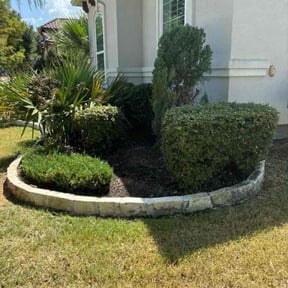 Bush Trimming by Mr Ed’s lawns reviewed on August 20, 2026