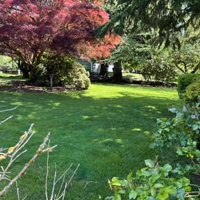 landscaping by Hardin lawn services reviewed on August 17, 2025