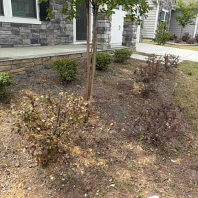 Flower Bed Weeding by My Home Lawn Service reviewed on April 28, 2026