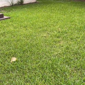 landscaping services by Mowasis Lawn Care Services reviewed on August 20, 2025