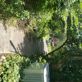 Bush Trimming by Brett's Lawn Service  reviewed on August 19, 2025