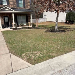 Leaf Removal by Green landscaping reviewed on March 7, 2026