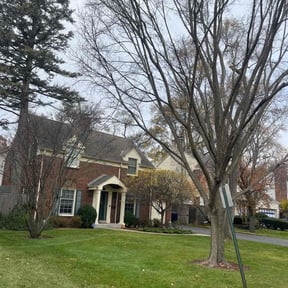 Leaf Removal by MY LANDSCAPER reviewed on November 20, 2025