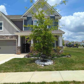 yard care by San City Lawn Care reviewed on August 15, 2025