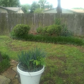 Bush Trimming by Lawn Me Up Landscape reviewed on August 16, 2025