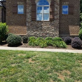 Bush Trimming by Lambeth building & design llc reviewed on August 16, 2025