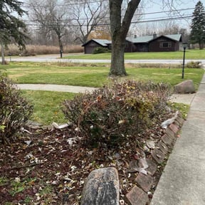 Bush Trimming by Emerald Landscaping Corp. reviewed on December 25, 2025